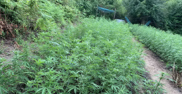 AB sınırında "Escobar" operasyonu