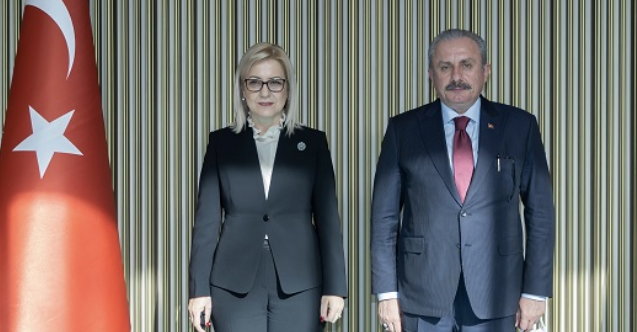 Şentop: "Arnavutluk'un kalbimizdeki yeri ayrı"