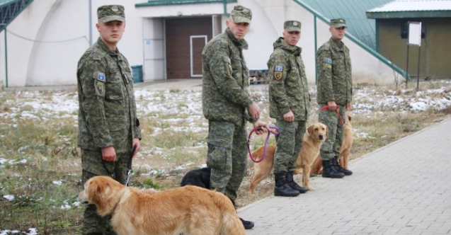 Türkiye, Kosova’ya arama-kurtarma çalışmaları için K9 köpekleri bağışladı