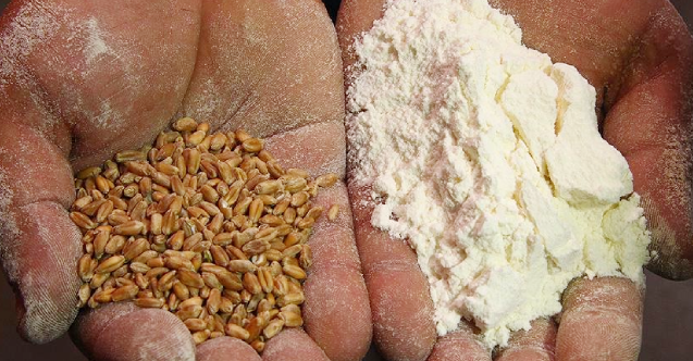 Arnavutluk, un ithalatı için Rusya'ya alternatif arıyor