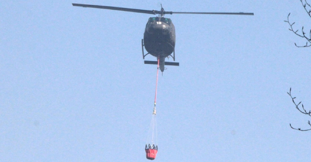 Balkanlar orman yangınlarıyla boğuşuyor