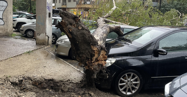 Üsküp’te rüzgar ve şiddetli yağmur hayatı olumsuz etkiledi