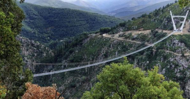 Sırbistan’da asma köprünün halatlarının kopması sonucu 2 kişi hayatını kaybetti