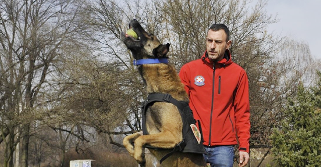 Bosna Hersek'ten gelen arama kurtarma köpeği Atos, enkaz altındaki birçok kişinin yerini tespit etti