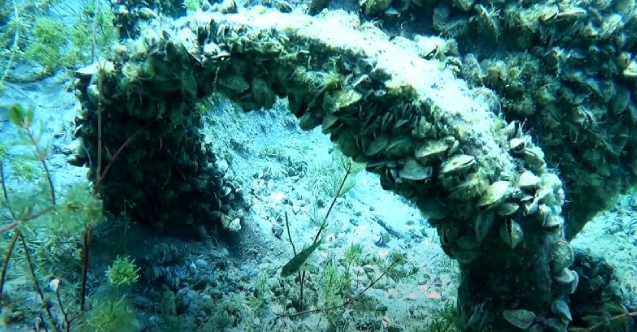 Ohri Gölü’nden İkinci Dünya Savaşı’ndan kalma bir bomba çıkarıldı