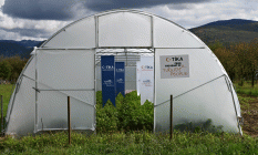 TİKA’dan Karadağ’da sera üretimine destek