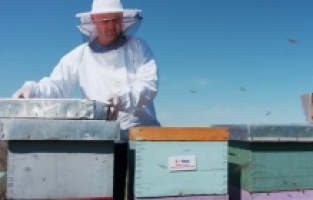 TİKA’dan Bosna’da arıcılığa destek