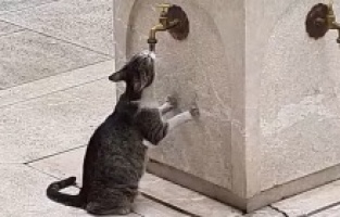 Saraybosnalı imamdan kalpleri fetheden paylaşım