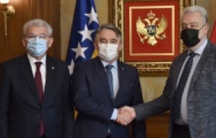 Caferoviç: "Komşularımız Bosna-Hersek’e saygı göstermeli"