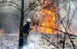 Bosna Hersek'ten Türkiye'ye destek için 41 itfaiye eri