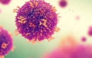 Bosna Hersek'te aşılıların oranı %10’un altında