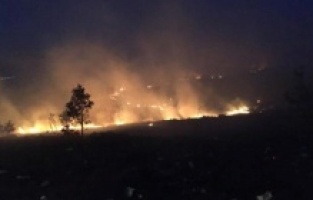 Arnavutluk’ta üç bin hektar alan yandı