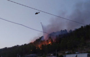 Arnavutluk’taki orman yangınlarında ilk kayıp