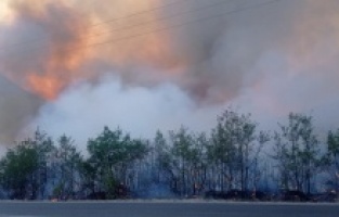 Balkanlar, son on yılın en büyük orman yangınlarıyla karşı karşıya