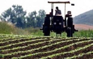 Bosna Hersek'te son yılların en büyük kuraklığı