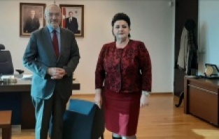 FIPA: Türkiye Bosna Hersek'e 415 milyon mark yatırım yaptı