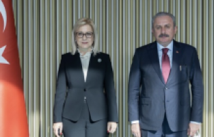 Şentop: "Arnavutluk'un kalbimizdeki yeri ayrı"