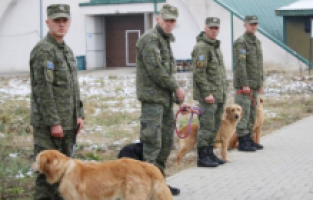 Türkiye, Kosova’ya arama-kurtarma çalışmaları için K9 köpekleri bağışladı
