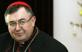 Bosnalı Katolik lider Vinko Puljic emekli oldu