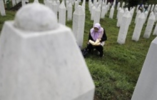Srebrenitsa anneleri, Sırpların talep ettiği "soykırım terimini istismar" yasasına karşı