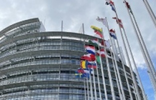 AP, Kosova raporunu onayladı