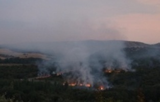 Bulgaristan'da askerler patlayıcı madde imha ederken orman yangını çıktı