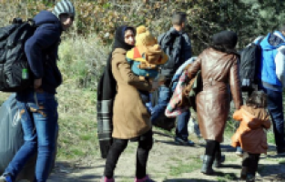 Macaristan Sırbistan sınırında düzensiz göçmenlere şiddet