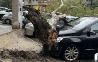 Üsküp’te rüzgar ve şiddetli yağmur hayatı olumsuz etkiledi