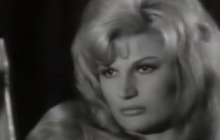 Eski Yugoslavya'nın Bosna Hersekli divaları