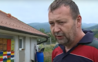 Boşnak girişimci, ABD’ye arı zehri ihraç ediyor