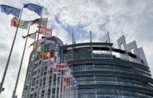 AP, Bulgaristan'ın Şengen'e dahil edilmesini talep etti