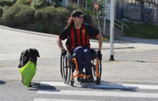 Kuzey Makedonyalı serebral palsi hastasının en sadık dostu labrador köpeği