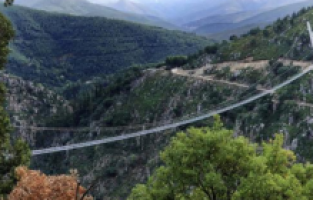 Sırbistan’da asma köprünün halatlarının kopması sonucu 2 kişi hayatını kaybetti