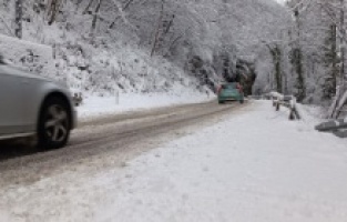 Slovenya'da yoğun kar yağışı büyük sorunlara yol açtı