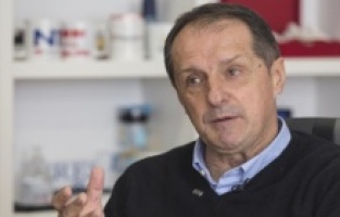 Bosna Hersek'in yeni teknik direktörü Faruk Hadzibegic oldu