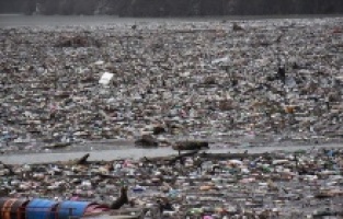 Bosna Hersek'te Drina Nehri'nin yüzeyi çöp ve atıklarla kaplandı