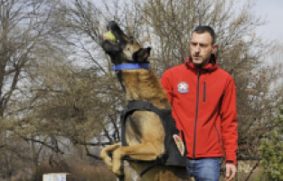 Bosna Hersek'ten gelen arama kurtarma köpeği Atos, enkaz altındaki birçok kişinin yerini tespit etti