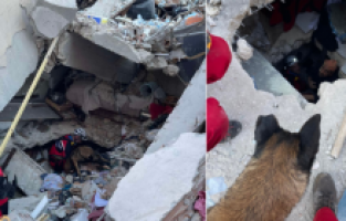 Bosnalı kurtarma ekibinin arama köpeği Atos, 3 kişinin yerini tespit etti