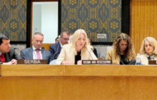 Cvijanovic: "Bosna Hersek asla masal gibi bir ülke olmayacak ama..."