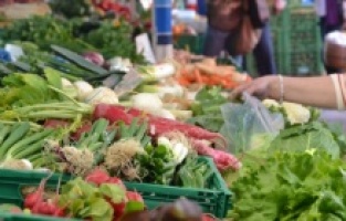 Rekor gıda harcamaları, Arnavutluk'taki yoksulluğa işaret ediyor