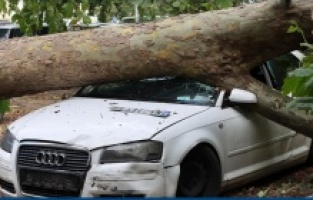 Sırbistan'da şiddetli yağış ve fırtına nedeniyle bir çocuk hayatını kaybetti