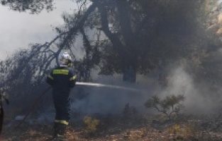 Yunanistan'da son 24 saatte 46 orman yangını çıktı