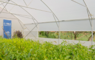 TİKA’dan Hırvatistan’da yaşlılar ve kadınlar yararına tarım öncelikli proje